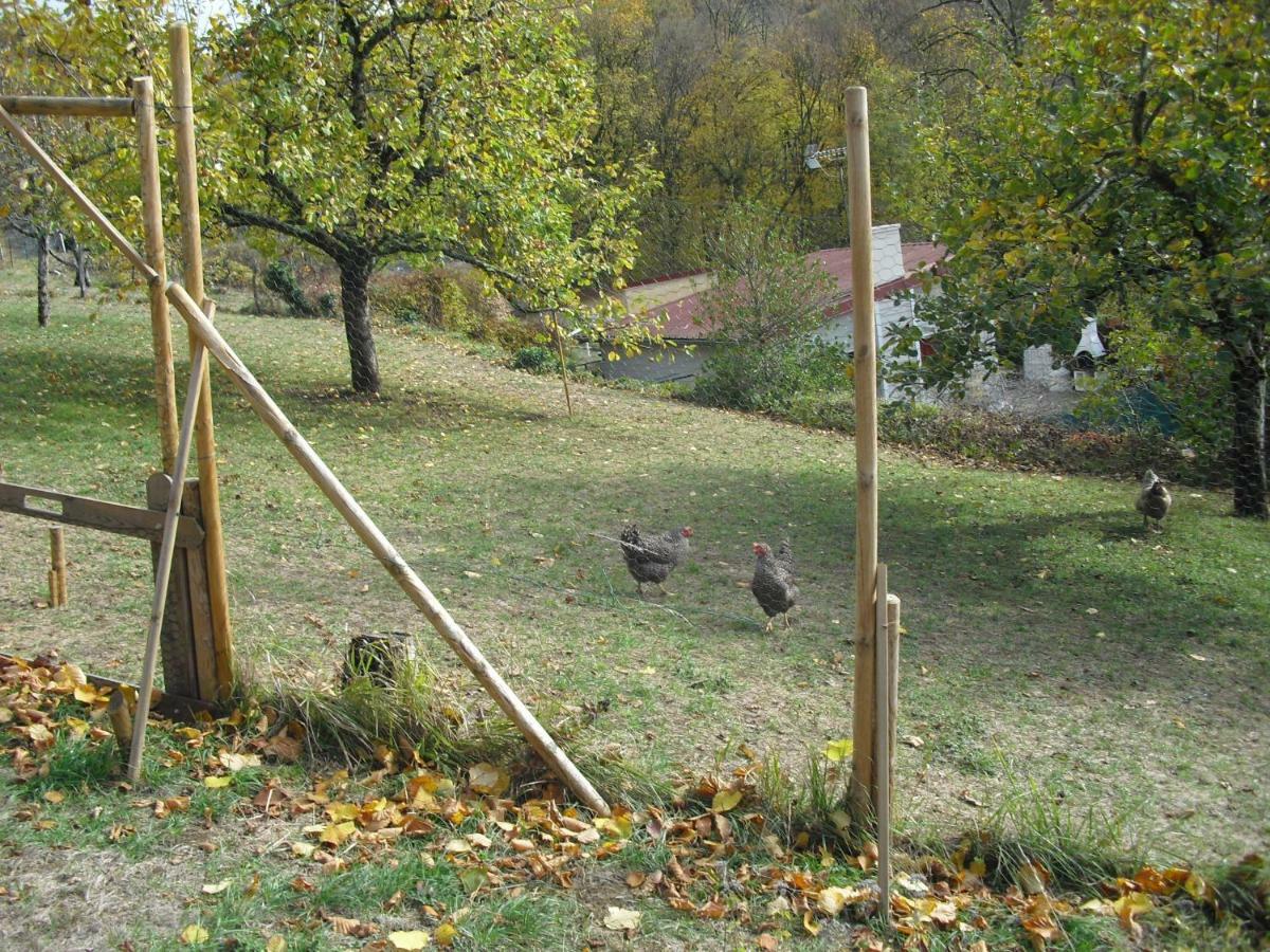 La Maison Imparfaite Fourbanne Zewnętrze zdjęcie
